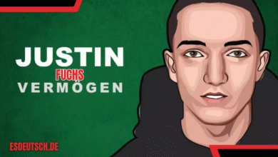 justin fuchs vermögen
