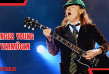 angus young vermögen
